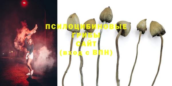 Альфа ПВП Алексеевка