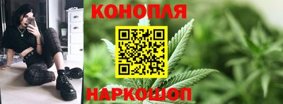 мяу мяу мука Кизляр