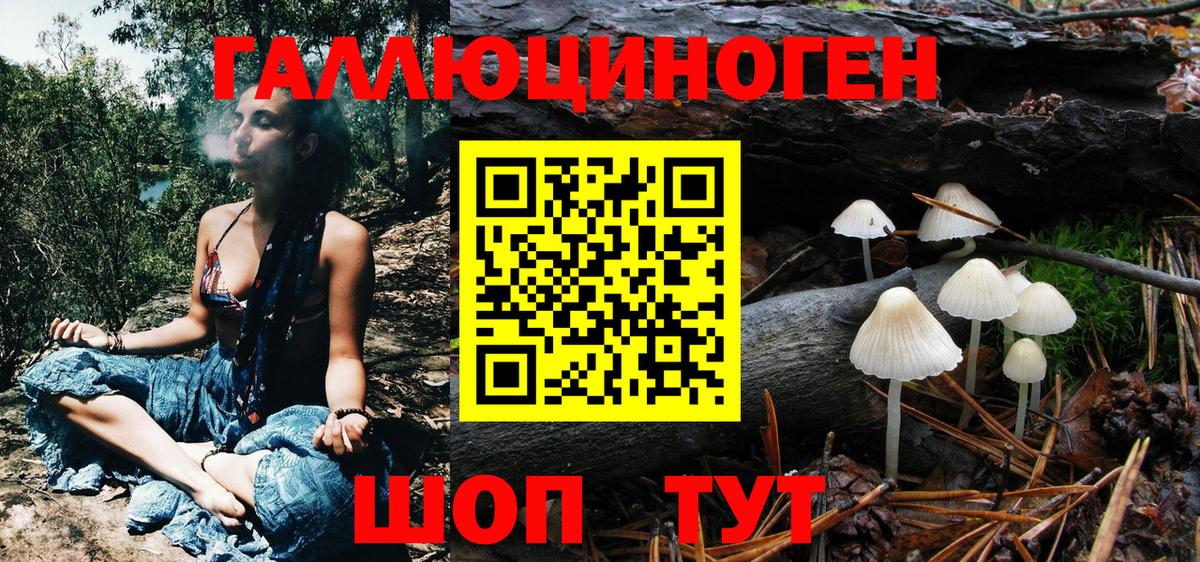 Шуя  Псилоцибиновые грибы Psilocybe  Галлюциногенные грибы мухоморы  Вход с VPN 
