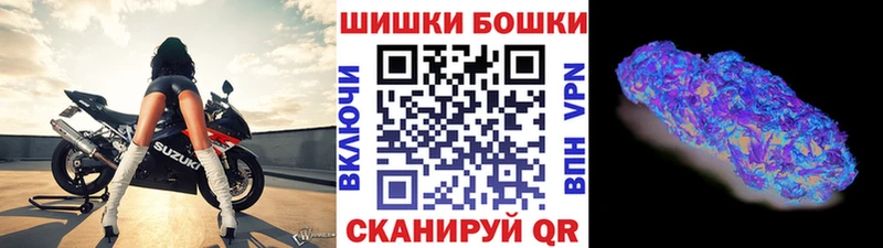 как найти Шуя МЕГА ССЫЛКА Конопля SATIVA & INDICA