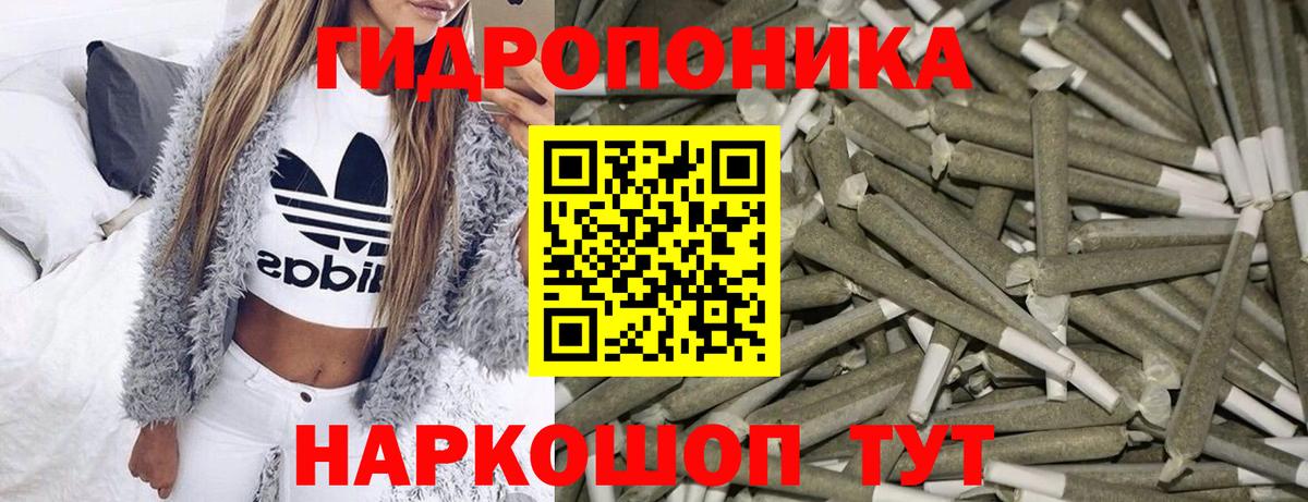 Конопля планчик Шуя